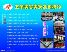 农村kaiyun官方网站卫生间化粪池(农村砖砌化粪池)